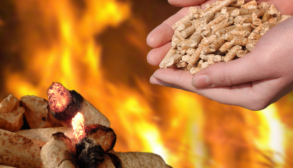 Pellets